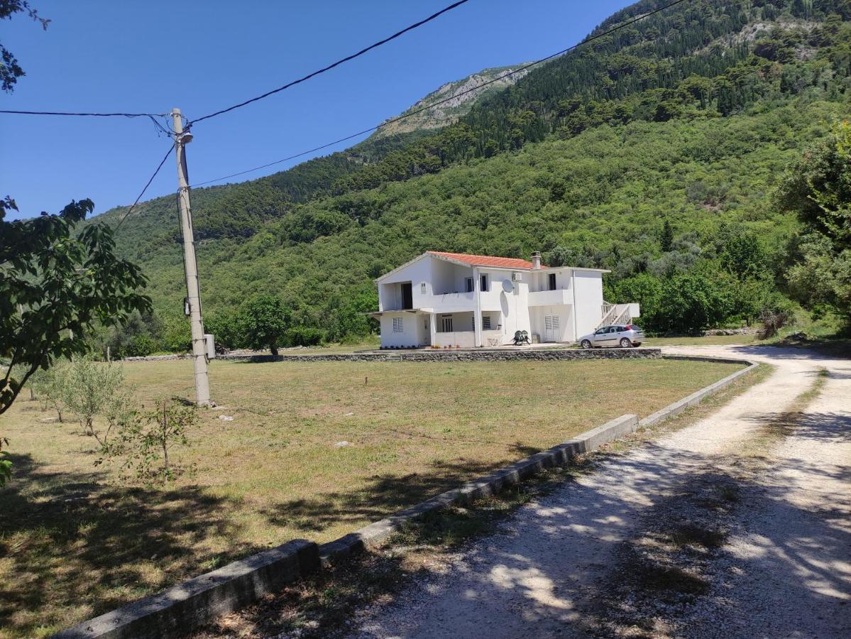 Apartman Bujkovic Sutvara Appartement Kotor Kamer foto